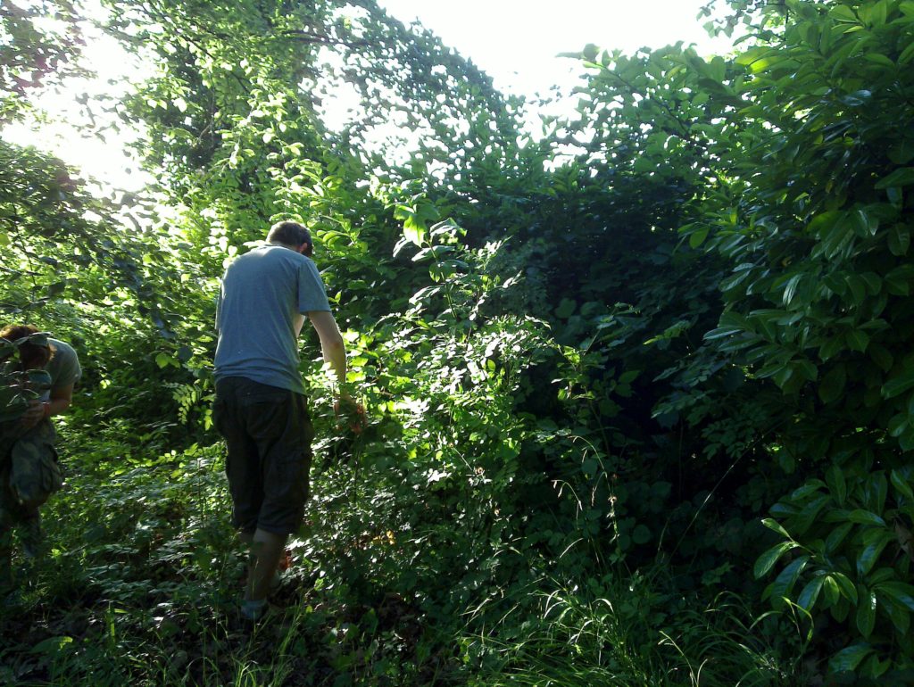 Hunting for a lost disc Hunting for a lost disc