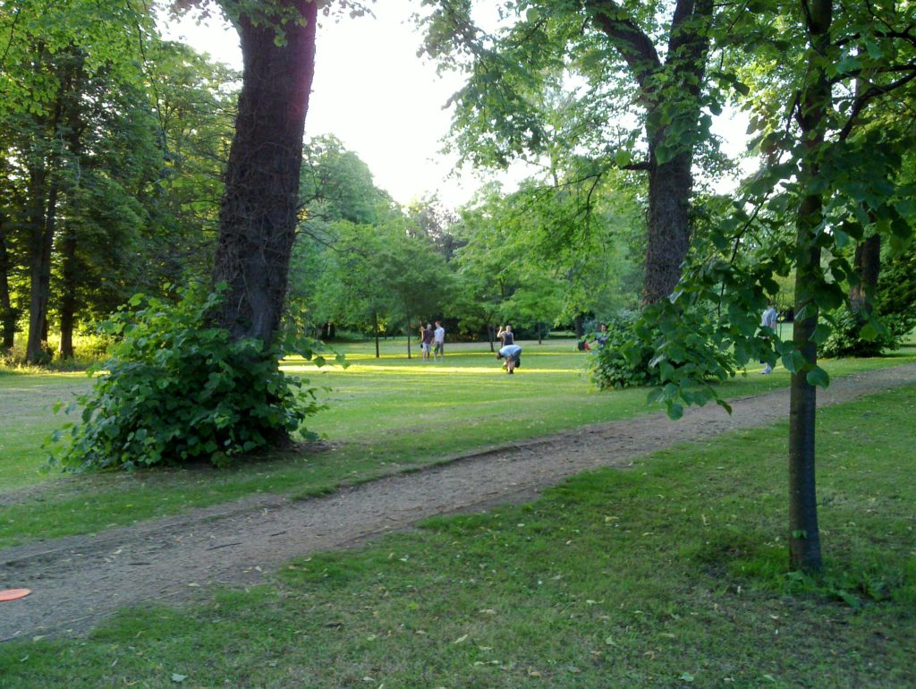 OxDisc assemble in the park