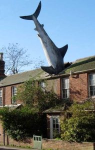 The Headington Shark