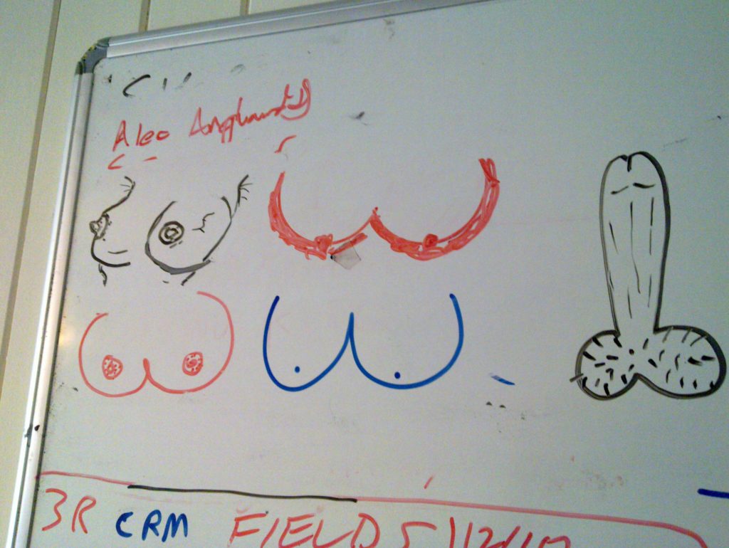 Leading candidates in the ad-hoc 'best boobies' competition. I still like Ele's.