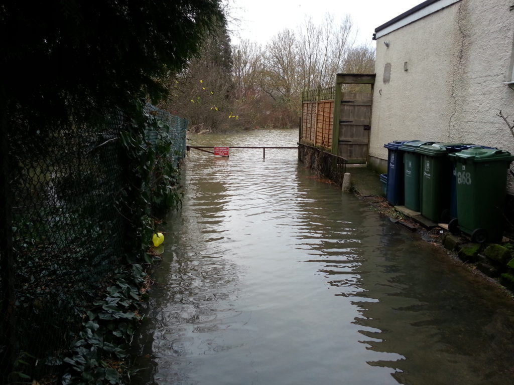 Flooded garden and driveway.