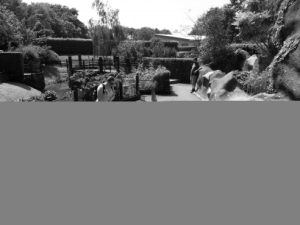 Ruth lining up an adventure golf shot Ruth lining up an adventure golf shot