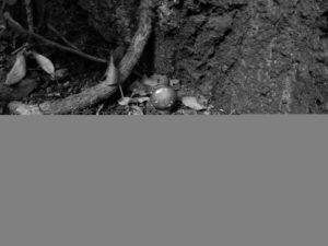 Not much room? Not much room? - there's a geocache hidden in this picture.