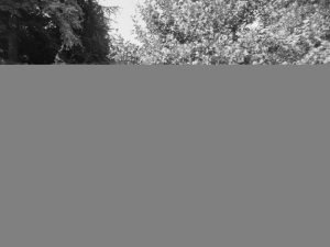 Matt takes a siesta atop the boat.