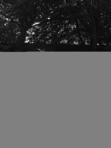 Dan and Ruth with a geocache.