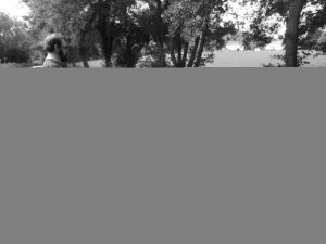 Moored up with a plank.