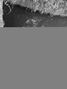 Ruth and JTA look into the Cwmbran Tunnel.