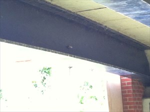 The epic (and challenging) geocache GC13WZQ.