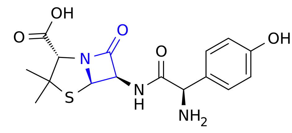 Amoxicillin, with lactam ring highlighted.