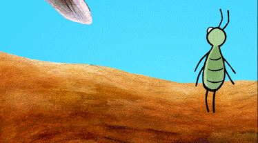 PBF: Metamorph-Assist