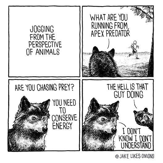 Jogging from the perspective of animals