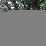 Leaning forwards and reaching over at full stretch, I could just-about reach the hashpoint