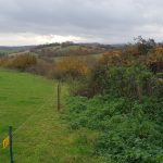 The gap between the electric fence and the bushes is allegedly a footpath