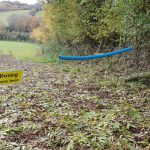 That looks like a safe concession to your electric fence crossing a right of way