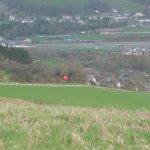 Balloons in the distance