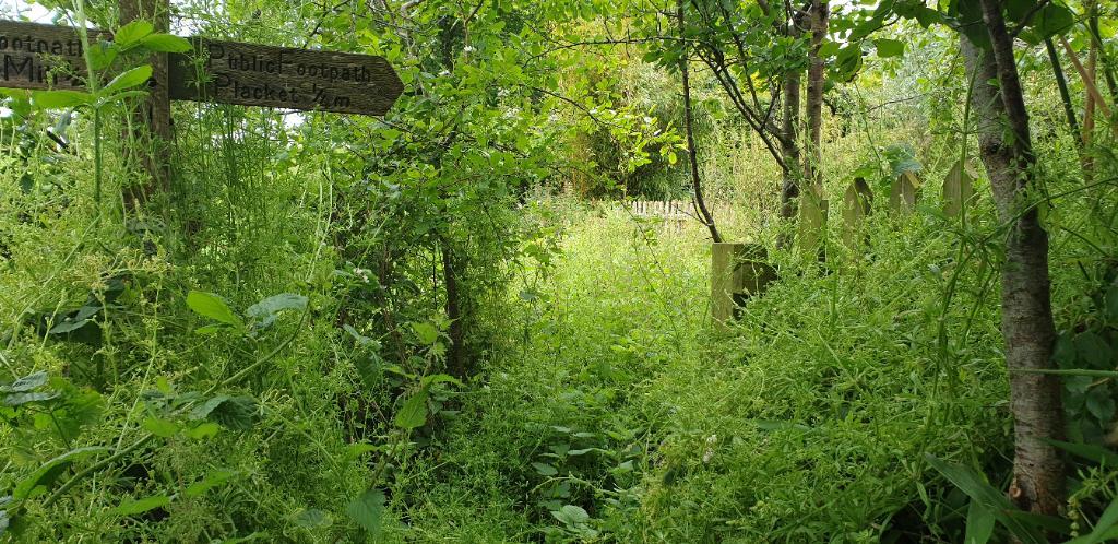 This footpath belongs to nature, now.