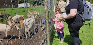 John and Annabel feed the deer.