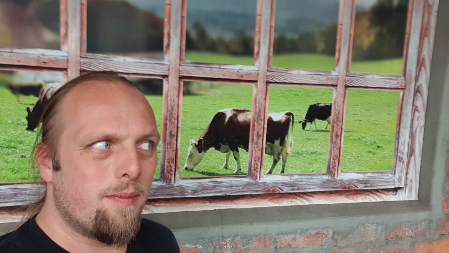Dan by a picture of cows near the geocache
