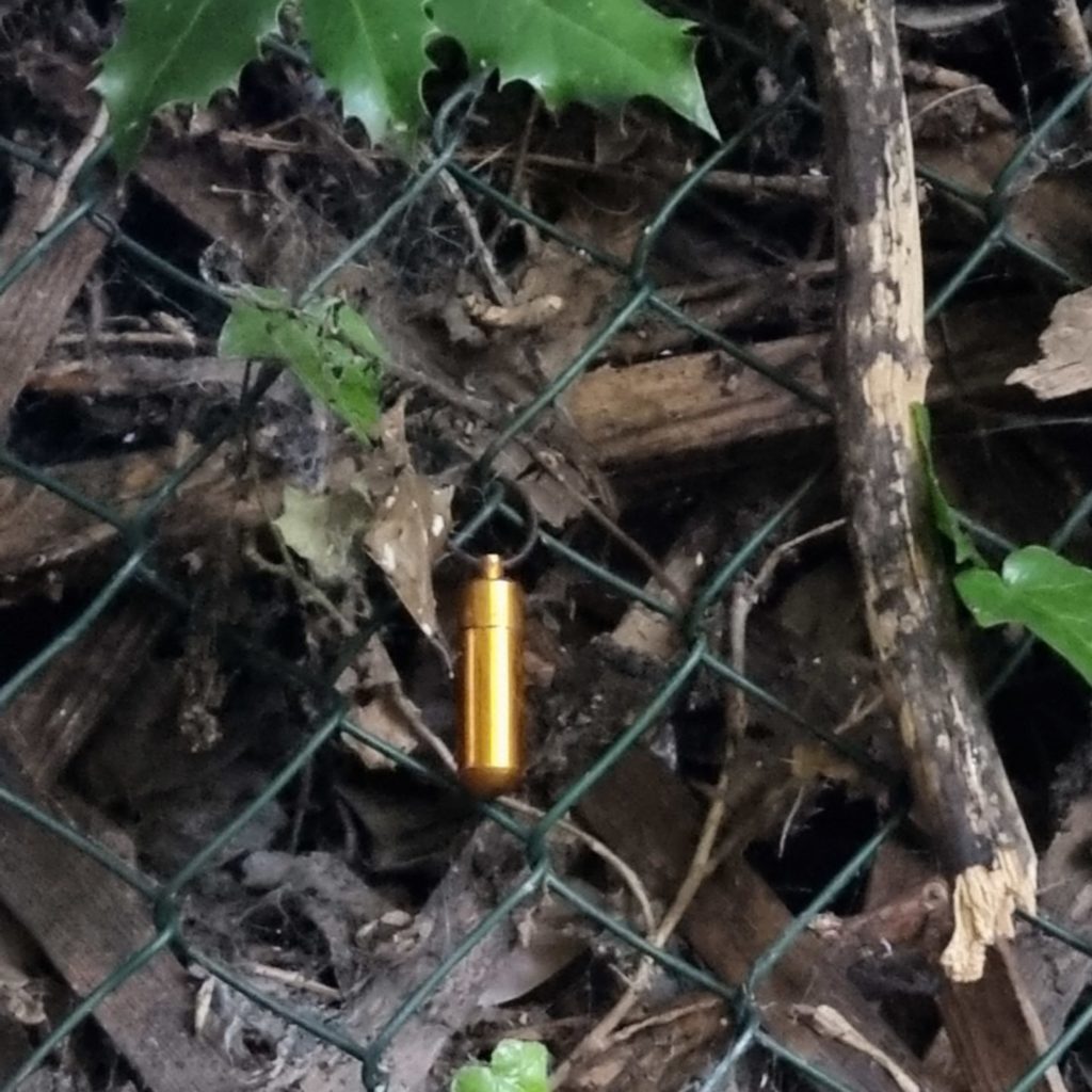 Geocache hanging on a fence, near holly leaves