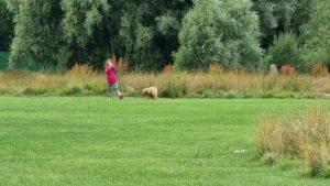 A girl runs with a small dog on a lead.