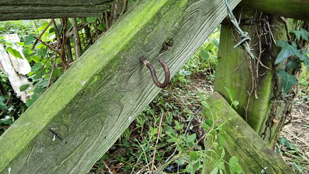 Empty hook where the geocache used to hang.