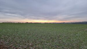 View from the hashpoint