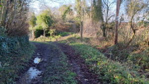 A muddy footpath