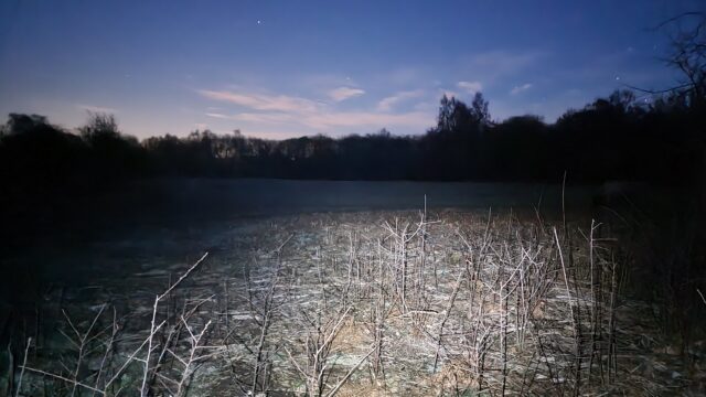 Long exposure of South Leigh Common: the last of the sunlight disappears behind dark trees; damp frosty ground can be seen by torchlight.