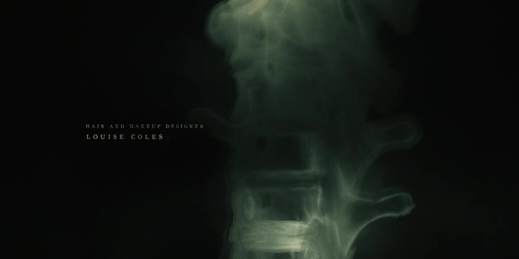 Partial X-ray of a human spine?