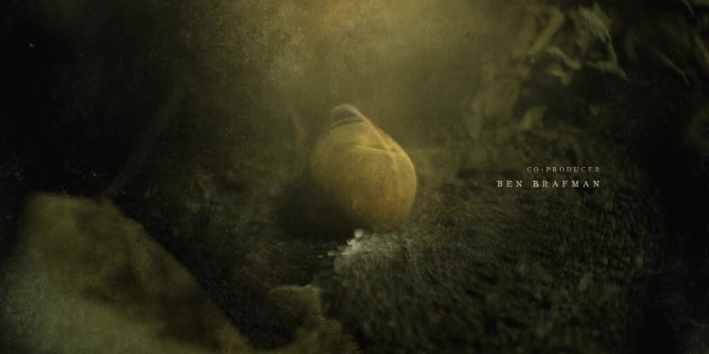 A seed in a yellow cloud.