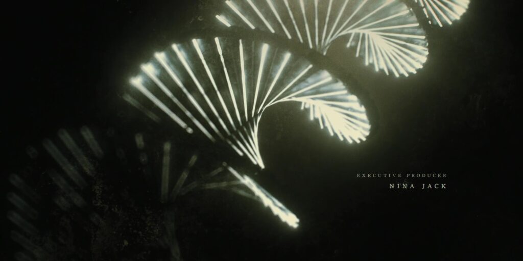 A double-helix shape cast in light, being made from the alternating-steps of a staircase.