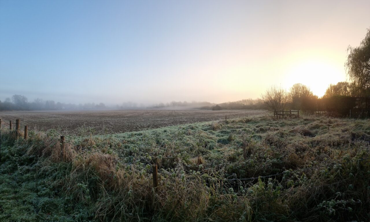 Frosty meadow with frozen fog, with low sunrise barely cutting through, with beginnings of a blue sky barely peeking through.
