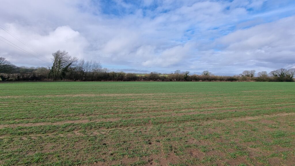 The edge of a field, becoming increasingly waterlogged into the distance.