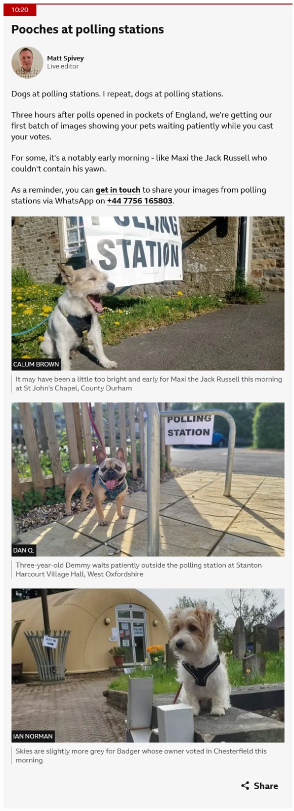 BBC News feed item showcasing dogs at polling stations, including my picture.