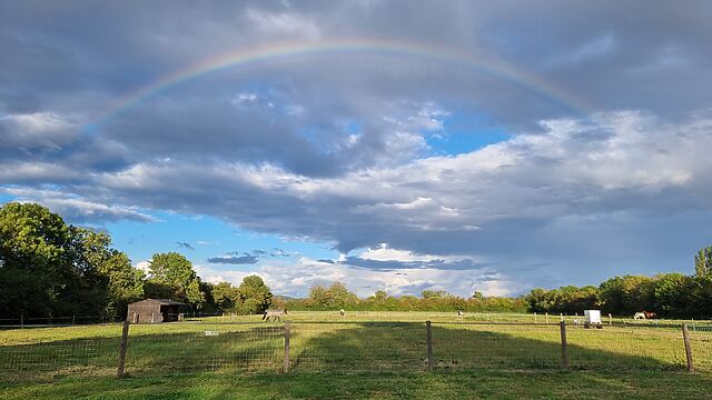 Paddock with horses under a sky of mixed clouds and an arching rainbow.