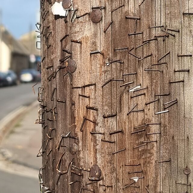 Close-up of a wooden telegraph pole littered with rusted staples and drawing pins of different sizes and ages, with an out-of-focus urban street disappearing into the distance.