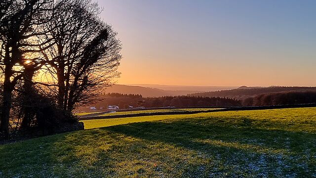 Early morning light over wintery fields and between the branches of bare trees.