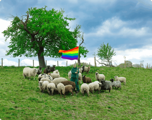 A flock of sheep on a green meadow with a shepherd holding a rainbow flag. 