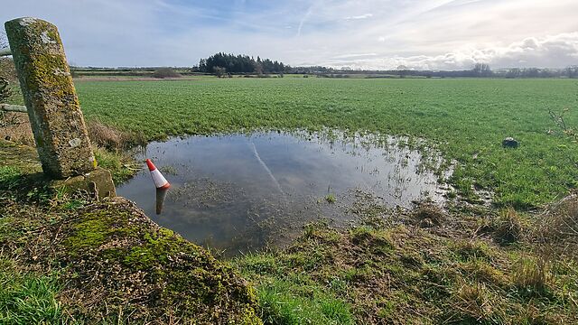 A partially-submerged traffic cone sits in a large puddle in a rural field.