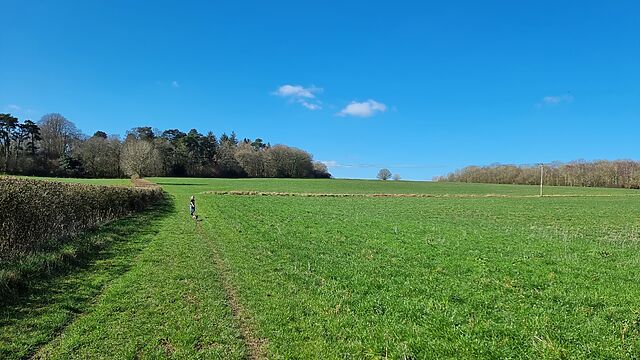 A boy and a dog run through a grassy fallow field.