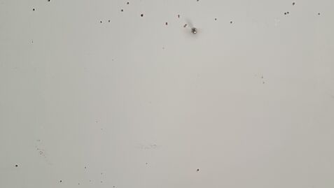 Post: Ghost of a dartboard