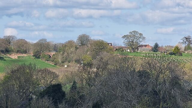 On the other side of a deep rural railway cutting, beyond a tall brick bridge, a large house stands above a vineyard.