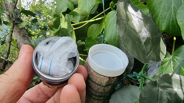 A geocache container, open, in a tree.