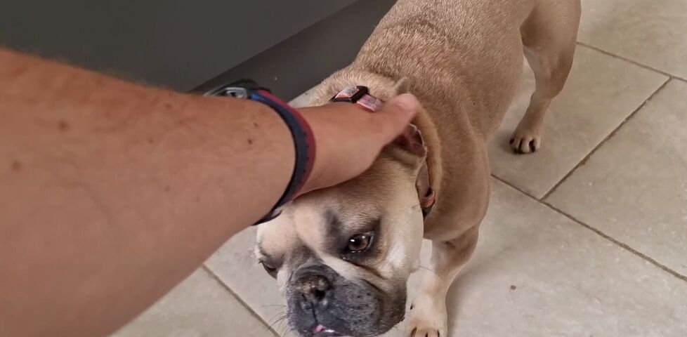 Post: The Commute (Chicory House Edition)