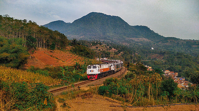 A long train snakes around hillside stepped farms in a tropical and mountainous landscape.