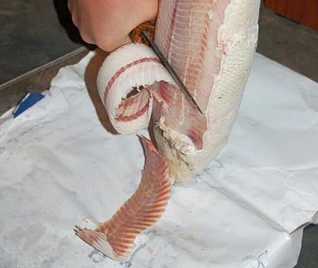 Slices of a large fish being whittled off with a traditional knife.