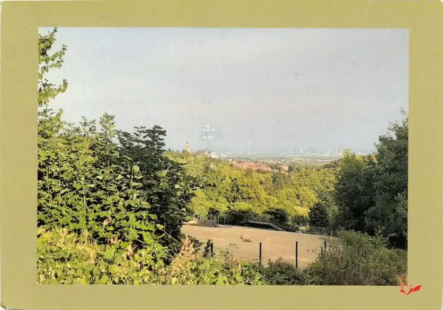 Photo postcard showing a valley flanked by deciduous woodlands.