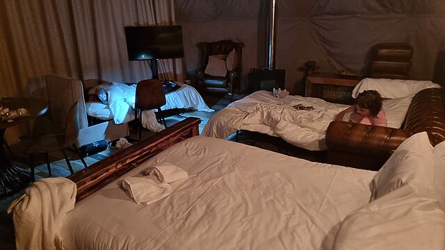 Several beds laid-out in a darkened glamping pod.