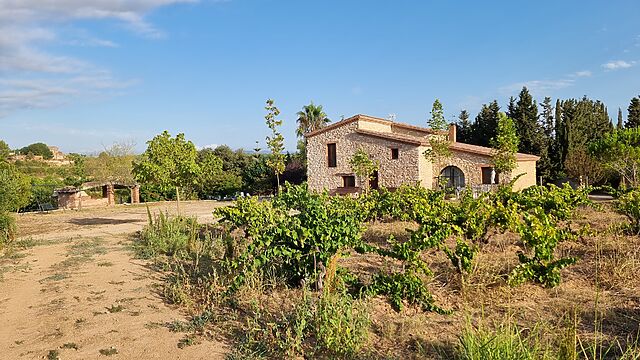 Under nearly-cloudless skies and surrounded by trees and olive and grape-laden slopes, a stone villa and its outbuildings sit prominently under the bright sun.