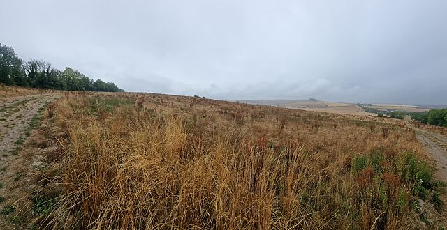 A windswept and rolling rural landscape, with storm clouds brewing in the distance.